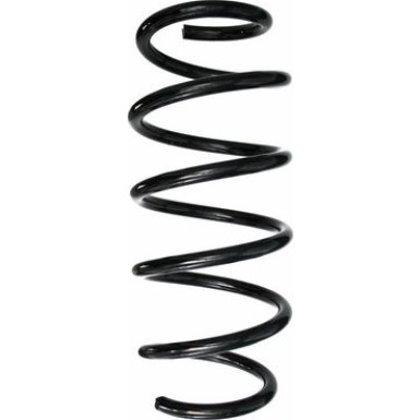 Spidan | Fahrwerksfeder | 87501