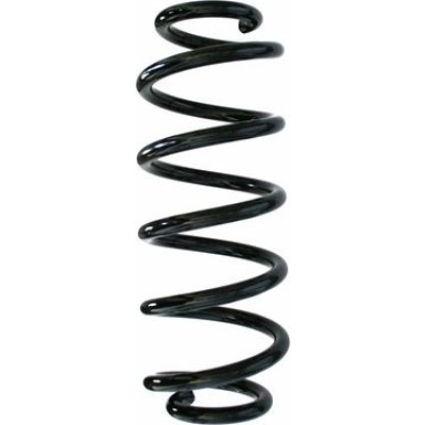 Spidan | Fahrwerksfeder | 87641