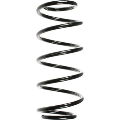 Spidan | Fahrwerksfeder | 55977
