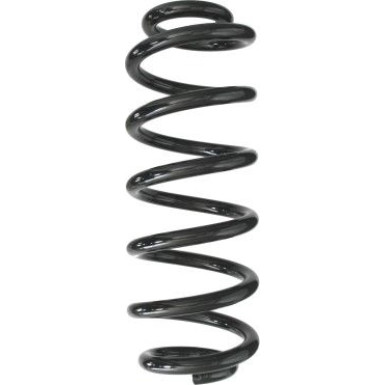 Spidan | Fahrwerksfeder | 87954