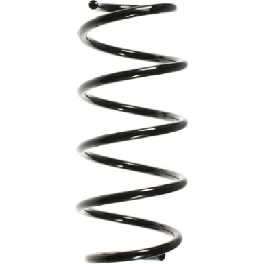 Spidan | Fahrwerksfeder | 55962