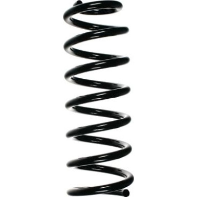 Spidan | Fahrwerksfeder | 49785