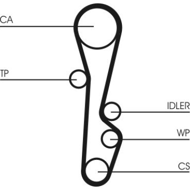 CT586 Zahnriemen