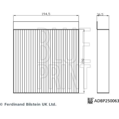 Blue Print | Filter, Innenraumluft | ADBP250063