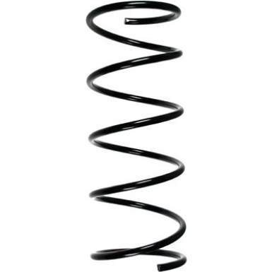 Spidan | Fahrwerksfeder | 49376