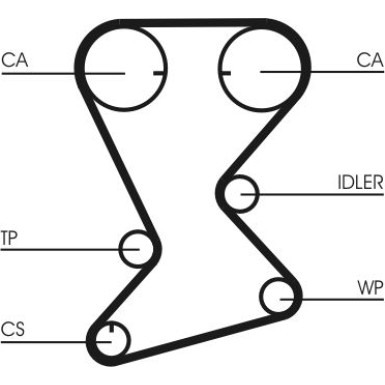 CT1108 Zahnriemen