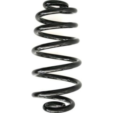 Spidan | Fahrwerksfeder | 56855