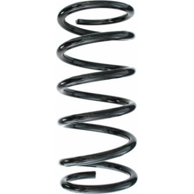 Spidan | Fahrwerksfeder | 55775