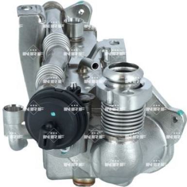 NRF | Kühler, Abgasrückführung | 48366 NRF | Kühler, Abgasrückführung | 48366