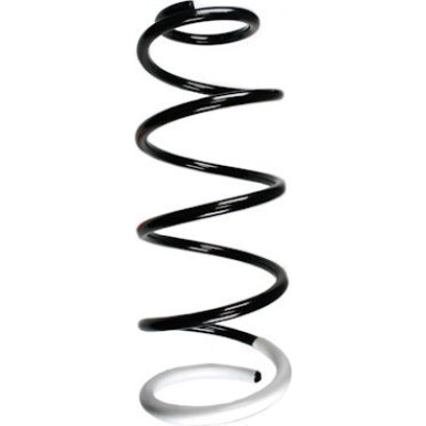 Spidan | Fahrwerksfeder | 55246