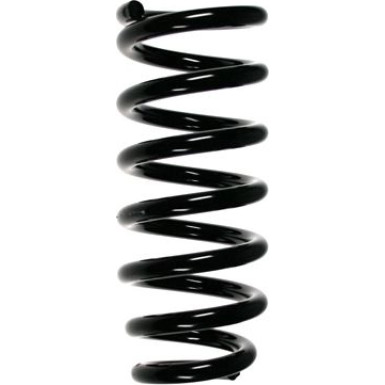 Spidan | Fahrwerksfeder | 55789