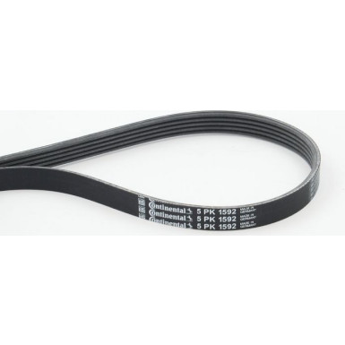 ContiTech | Keilrippenriemen | 5PK1592