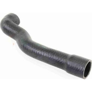 Vaico | Kühlerschlauch | V20-1239