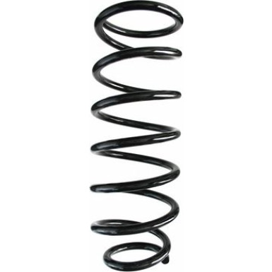 Spidan | Fahrwerksfeder | 55921