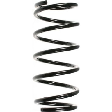 Spidan | Fahrwerksfeder | 55202