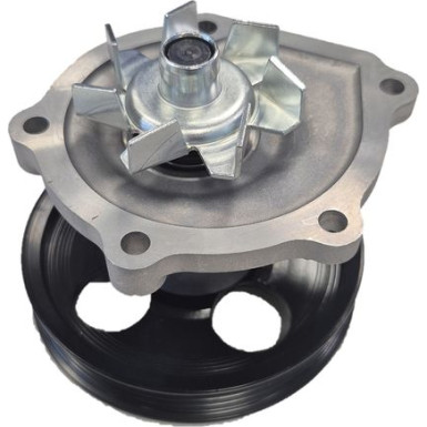 SKF | Wasserpumpe | VKPC 91417
