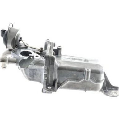 CE 36 000P Kühler, Abgasrückführung BEHR *** PREMIUM LINE ***