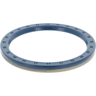 12015499B Wellendichtring, Radnabe