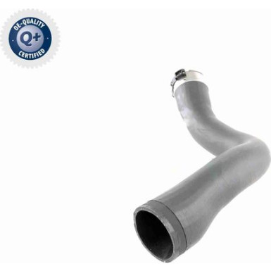 V40-1364 Ladeluftschlauch Q+, Erstausrüsterqualität V40-1364 Ladeluftschlauch Q+, Erstausrüsterqualität