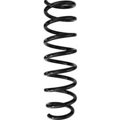 Spidan | Fahrwerksfeder | 87958