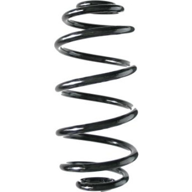 Spidan 2 x SPIDAN Fahrwerksfeder 86736