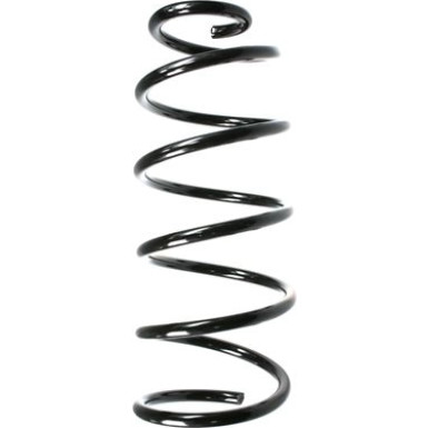 Spidan | Fahrwerksfeder | 49550