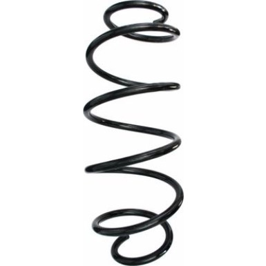 Spidan | Fahrwerksfeder | 49655
