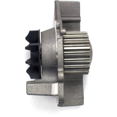 CT1061WP1 Wasserpumpe + Zahnriemensatz CT1061WP1 Wasserpumpe + Zahnriemensatz