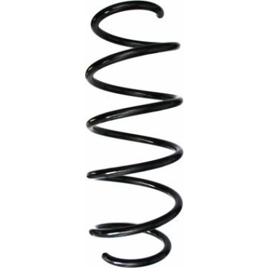 Spidan | Fahrwerksfeder | 87838
