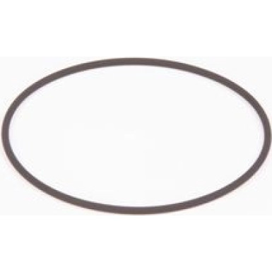 BOSCH | Dichtring | F 01M 100 371
