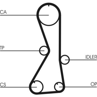 CT1016 Zahnriemen