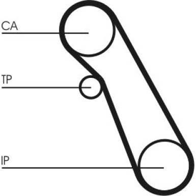 CT983WP1 Wasserpumpe + Zahnriemensatz