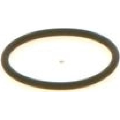 BOSCH | Dichtring | 1 410 257 042