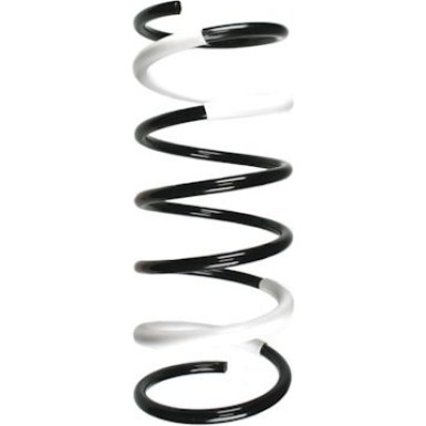 Spidan 2 x SPIDAN Fahrwerksfeder 55172