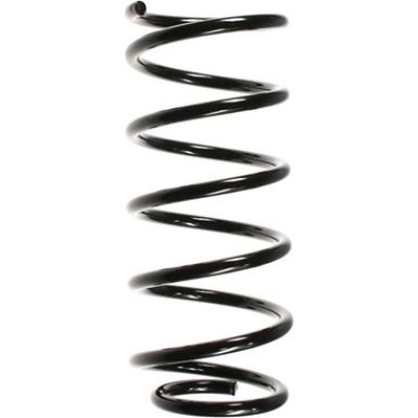 Spidan | Fahrwerksfeder | 48485