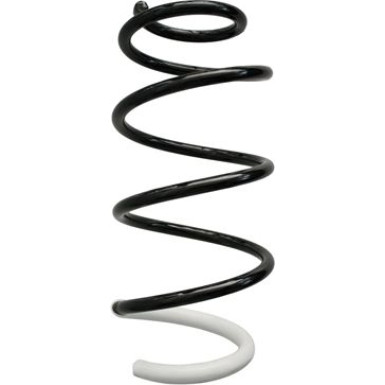 Spidan | Fahrwerksfeder | 87365