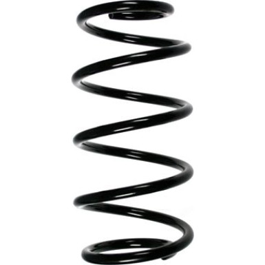 Spidan | Fahrwerksfeder | 55973