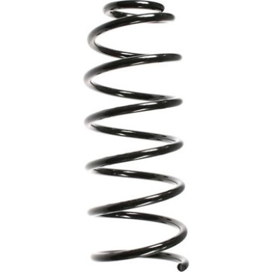 Spidan | Fahrwerksfeder | 48524