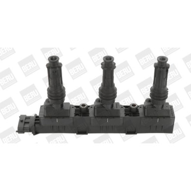 BorgWarner (BERU) | Zündspule | ZS359