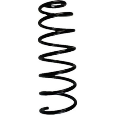 Spidan 2 x SPIDAN Fahrwerksfeder 86811