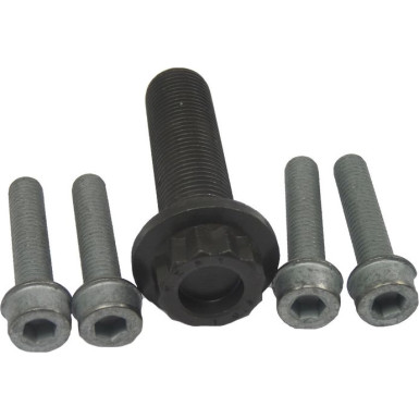 80001259 Schraubensatz, Riemenscheibe-Kurbelwelle