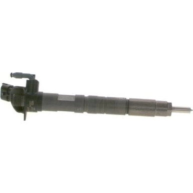 BOSCH 0 445 116 054 Einspritzdüse