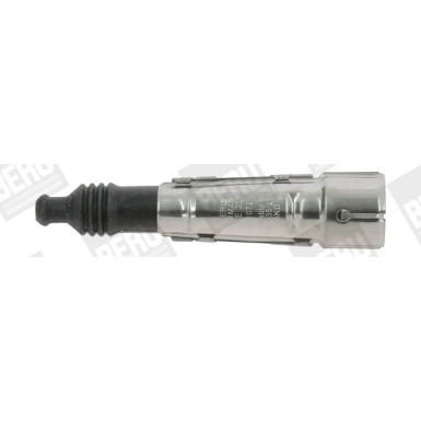 BorgWarner (BERU) | Stecker, Zündkerze | ZLE205