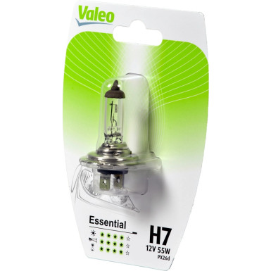 Valeo | Glühlampe, Abbiegescheinwerfer | 032008