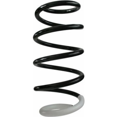 Spidan | Fahrwerksfeder | 87225