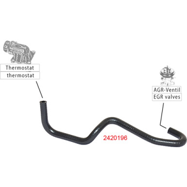 2420196 Kühlerschlauch