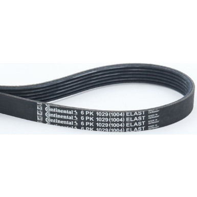 ContiTech | Keilrippenriemen | 6PK1029 ELAST