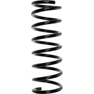 Spidan | Fahrwerksfeder | 55675