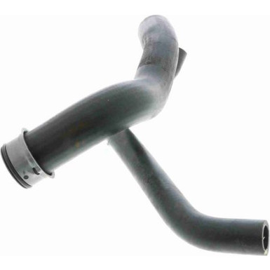 Vaico | Kühlerschlauch | V30-1769