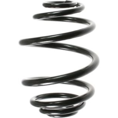 Spidan | Fahrwerksfeder | 48039